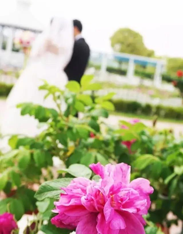 8月8日生肖 与 十天干 运势走向