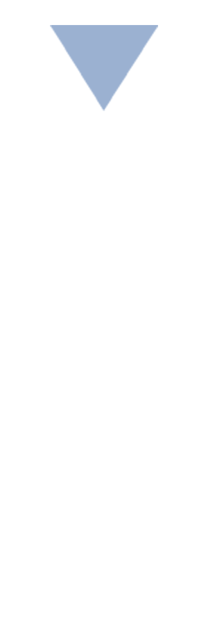 心理测试-你觉得哪只喜鹊是来报喜的，测测你下半生会不会赚大