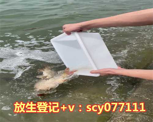 千万别用正常套路去追射手座呀！他们的口味都是有点另类的呀