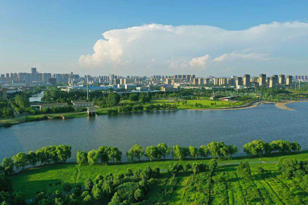 生肖虎：“闯大祸啦”，高僧推算“苦命属虎人”，6月有一“难”