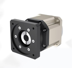 属鸡人即将开启好运之门