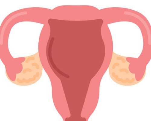 你给宝宝起名会怎么起# 《起名之惑：八字与三才五格