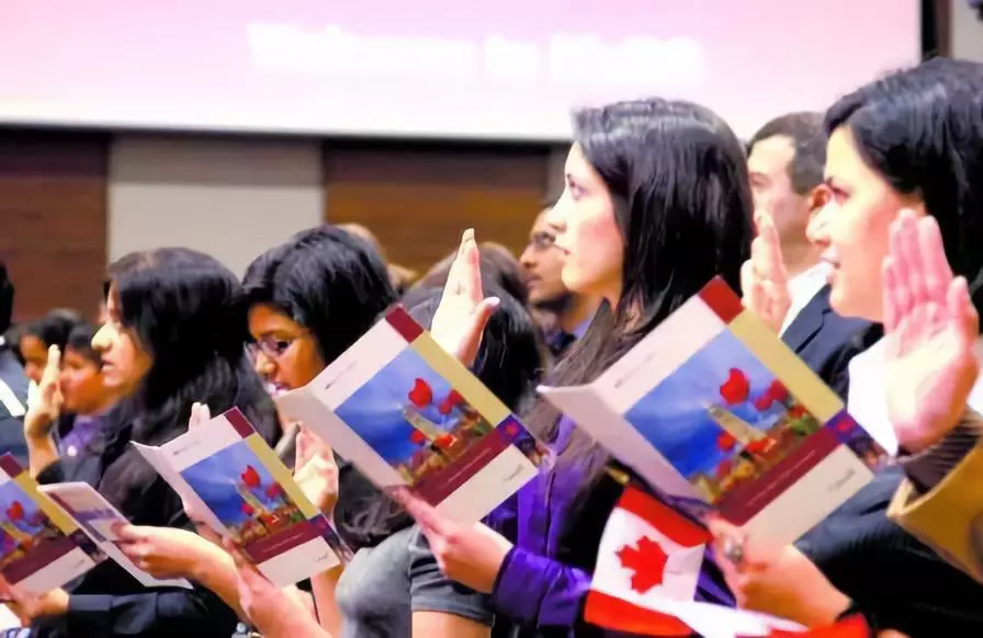 生肖鼠的运势及前程