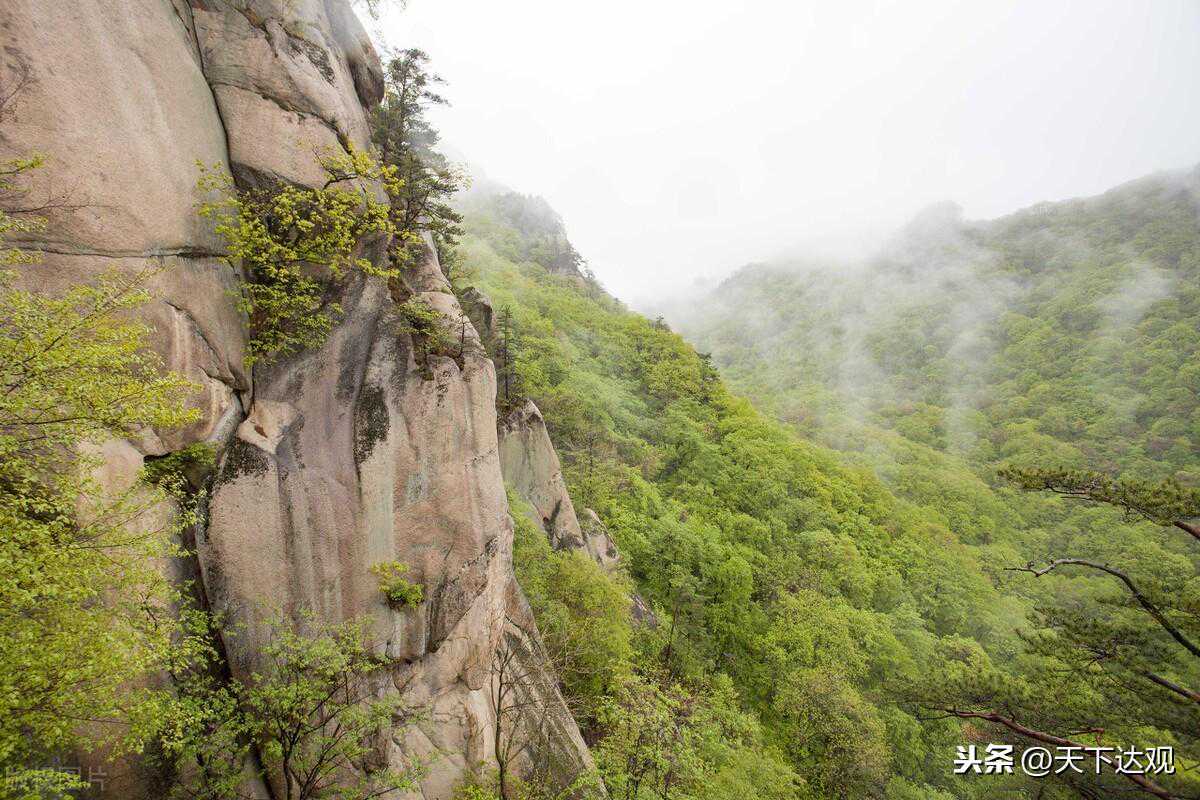 属你最旺 天蝎座♏️