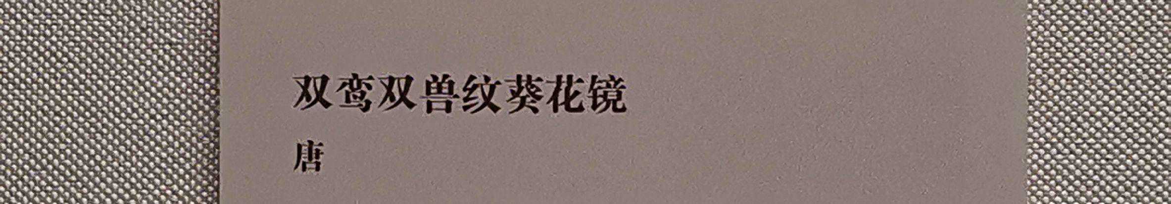 12上升高智商都在哪？这个智力三星座终结者，打开你的高层次心智