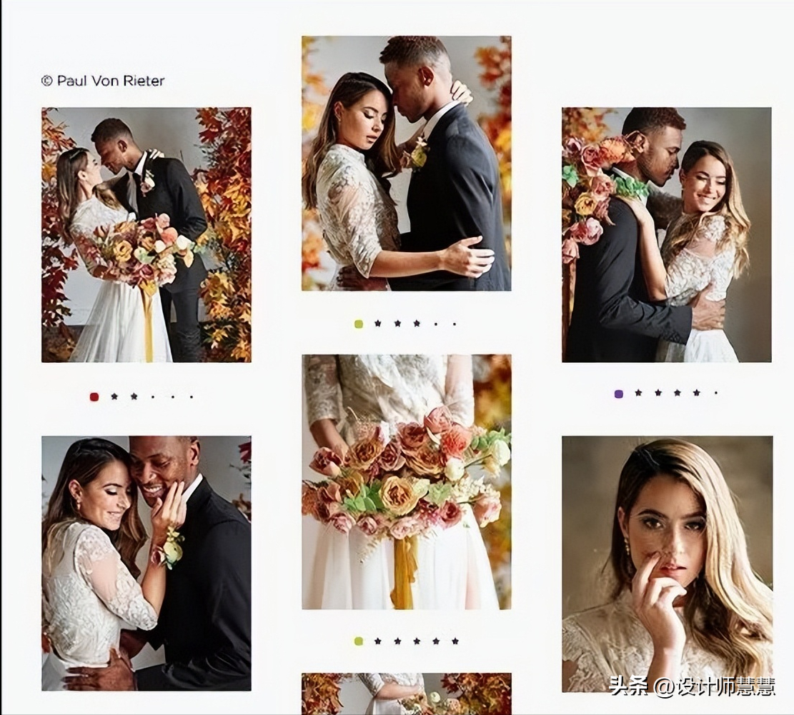 属狗人必看！5月健康必好？家庭必安？事业必成？