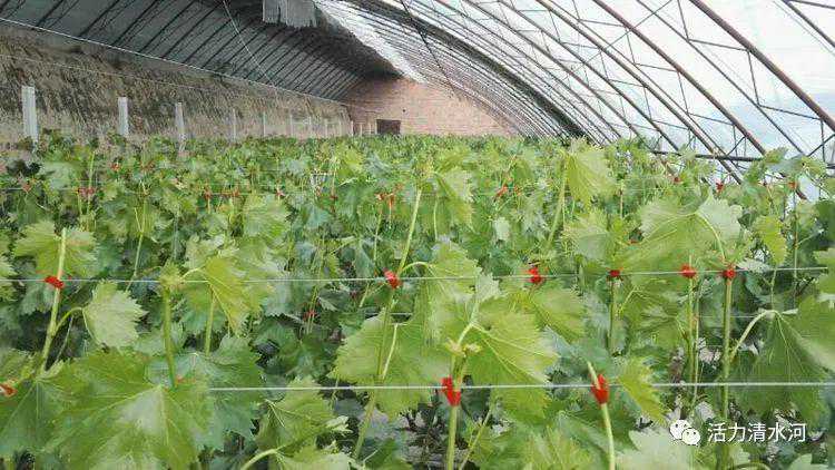 2025年《最强运势星座×血型》排行榜 48名中你又是第几名呢？