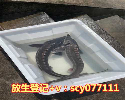 “男怕小嘴，女怕大鼻”，为啥这么说?女人大鼻子会怎样？