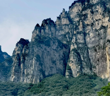 一个女人的嘴，决定了一个家庭的命运