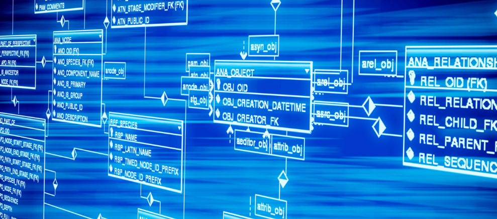 12星座最近运势和需要注意的点