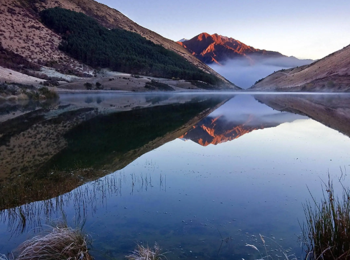 圆脸男人的面相