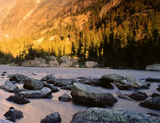可爱!孙颖莎我刚刚拿到驾照了 就是倒车不太好倒哈哈
